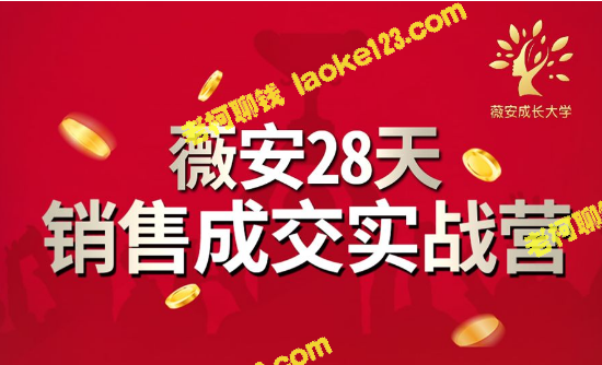「薇安28天实战营」5分钟成交3万，月入近6位数-老柯聊钱