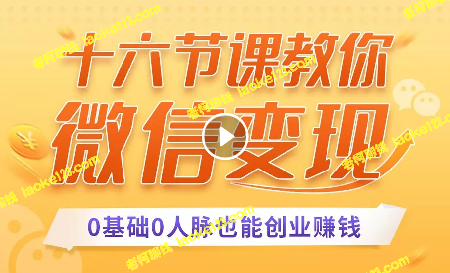 零基础微信变现：16节课教你用单品打爆市场，每月收入超10万+-老柯聊钱