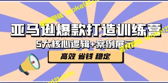 亚马逊爆款训练营：5大核心逻辑+案例展示，实现链接高效省钱稳定-老柯聊钱