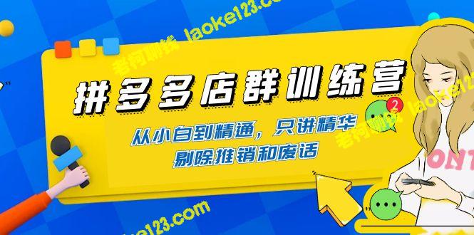 拼多多店群训练营：快速成为专家，精简实用，去除冗余。-老柯聊钱