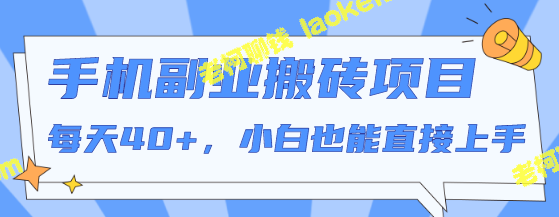 简单粗暴：一部手机操作，快速赚钱40+，附视频教程-老柯聊钱