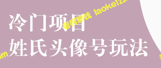 抖音冷门挣钱：姓氏头像号全攻略实操教程-老柯聊钱