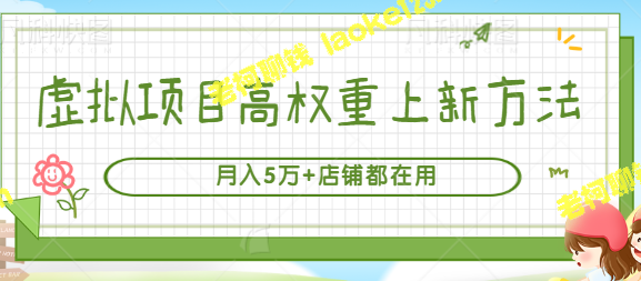 虚拟项目高权重上新策略，月赚5万+商家强力推荐（实测）-老柯聊钱