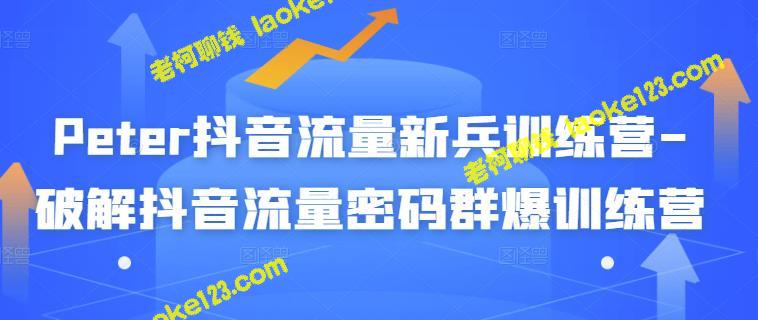 抖音流量新兵训练营：百万商机启示录-老柯聊钱