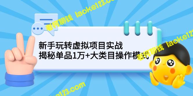 虚拟项目实战：新手玩转单品1万+大类目操作模式-老柯聊钱