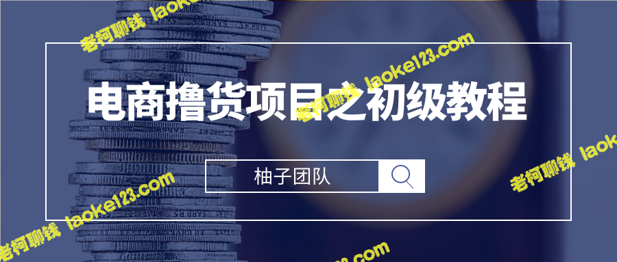 电商撸货初学教程：单品牌小样批量起号月入5000+-老柯聊钱