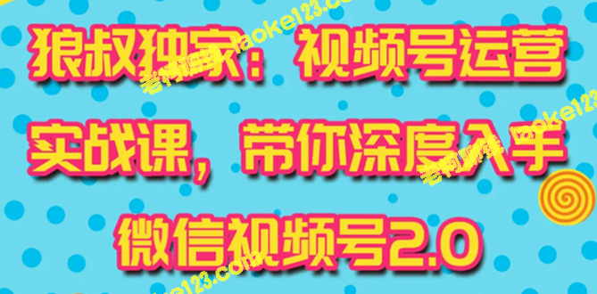 视频号运营实战：最新最全的快速吸粉吸金玩法 (10节视频)-老柯聊钱