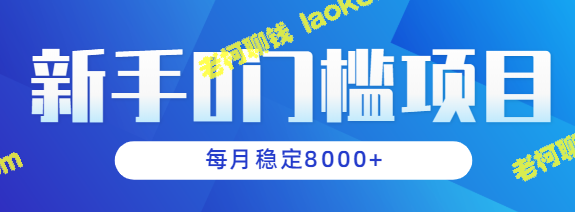 新手0门槛，月赚8000+美金的简单调查与搜索赚钱项目【视频教程】-老柯聊钱