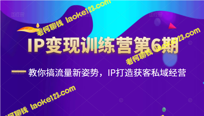 IP变现训练营第6期：流量新姿势，打造私域经营-老柯聊钱