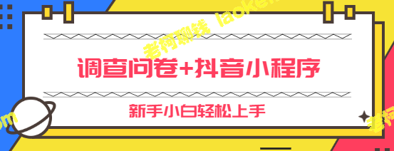 「零撸问卷+抖音小程序变现」视频教程：新手小白也能快速掌握！-老柯聊钱