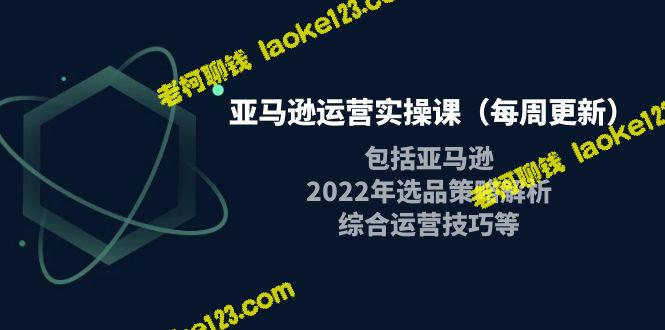 亚马逊实操课：2022选品策略与运营技巧-老柯聊钱