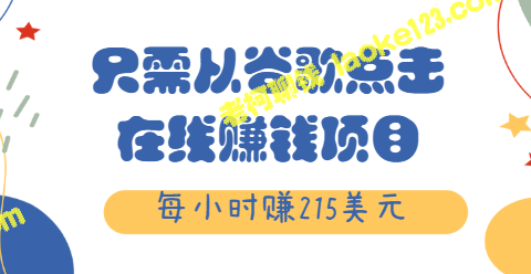 在线赚钱项目：每小时215美元【视频教程】-老柯聊钱