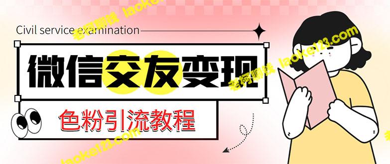 微信交友变现项目，全网LSP男粉精准赚钱，零基础易上手，日入500+-老柯聊钱