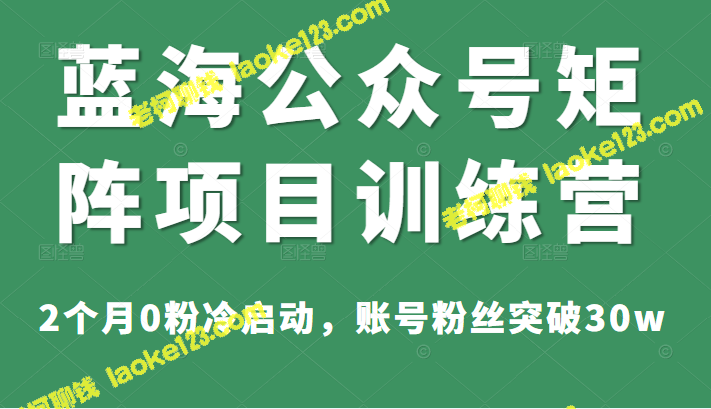 蓝海公众号训练营：2月0粉到30w突破，价值1800元-老柯聊钱