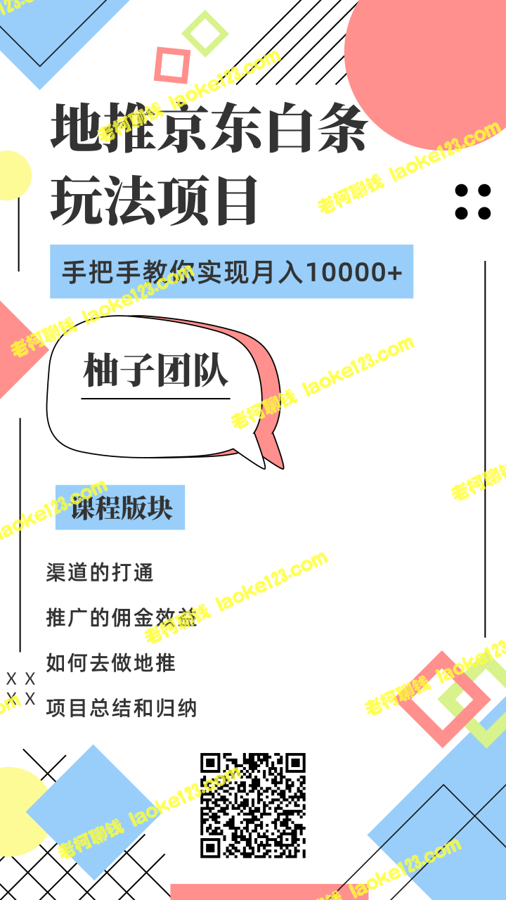 柚子团队：地推京东白条玩法，月入10000+实现指南-老柯聊钱