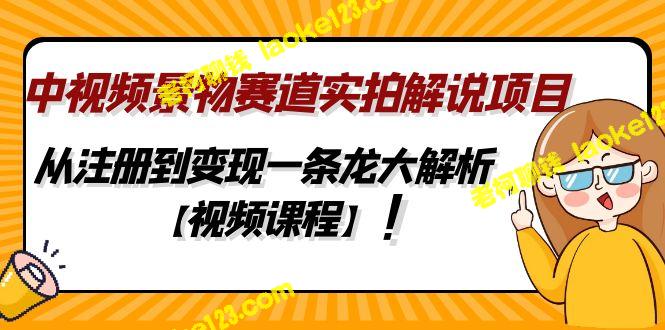 视频景物实拍解说项目：一条龙注册变现课程【视频教程】-老柯聊钱