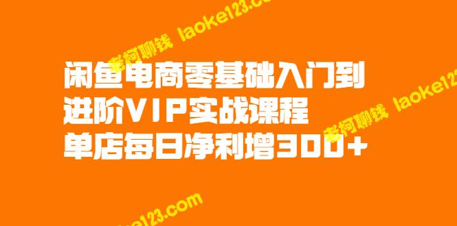 入门到VIP实战：掌握闲鱼电商技能-老柯聊钱