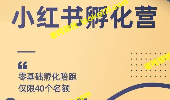 快速起量：教你如何在小红书上快速获得曝光并实现月入3000+-老柯聊钱