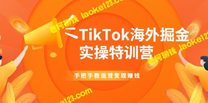 TikTok海外实操特训：从运营到赚钱【视频教程】-老柯聊钱