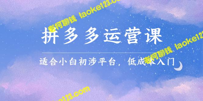 拼多多低成本入门运营课：创造销量和利润的秘诀（适合小白初涉平台）-老柯聊钱