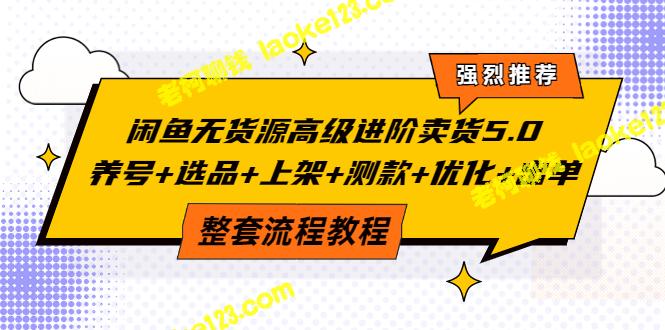 高级进阶卖货5.0教程：养号、选品、上架、测款、优化、出单-老柯聊钱