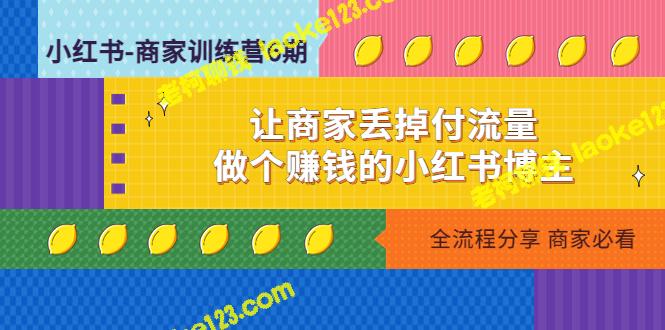 小红书商家训练营：赚钱成为小红书博主，不再依赖付费流量-老柯聊钱