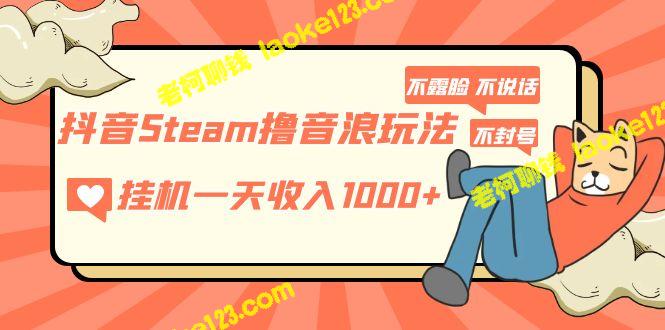 抖音Steam撸音浪：一天挂机赚1000+，免封号免露脸，社恐福音-老柯聊钱