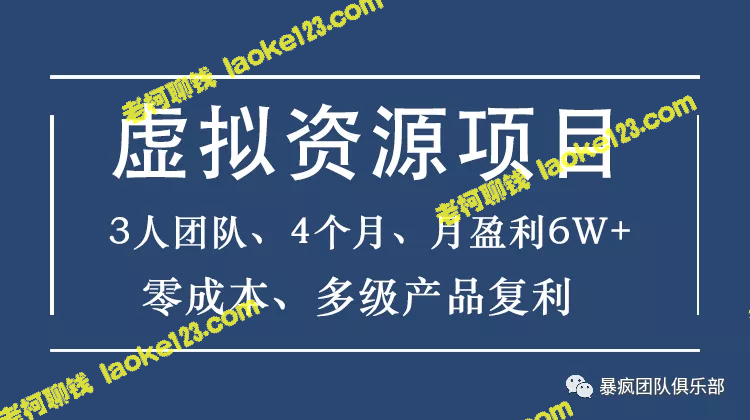 暴疯团队虚拟资源项目：3人团队，4个月盈利6W+，高客单价，多产品复利。-老柯聊钱