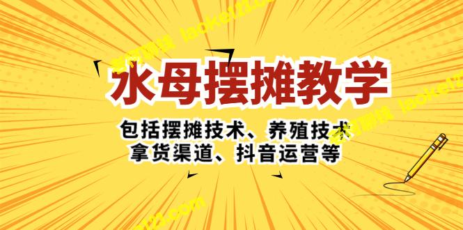 水母摆摊全攻略：技巧、养殖、采购、抖音营销-老柯聊钱