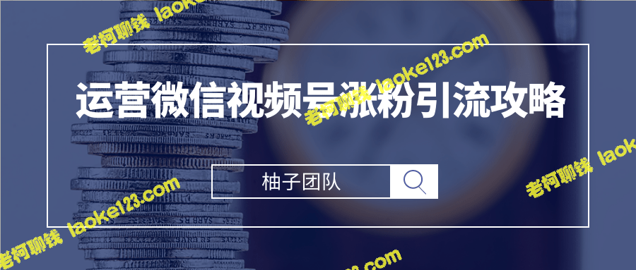 柚子团队内部课程：10W+涨粉引流攻略，无水印微信视频号运营简要指南-老柯聊钱