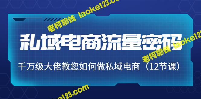 私域电商流量密码：千万级大佬教您做电商 (12节课)-老柯聊钱