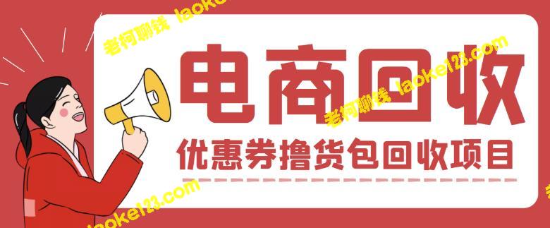 388元回收电商项目，单单利润100+元-老柯聊钱