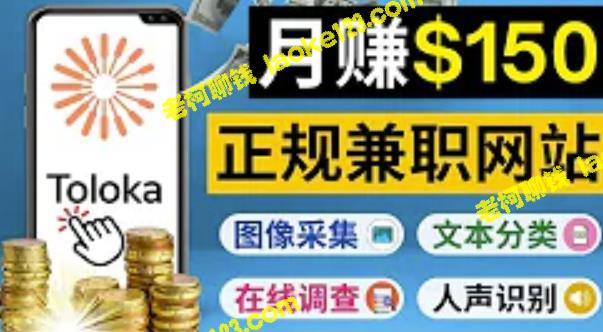 原创简化：利用业余时间在Toloka上月赚150美元-老柯聊钱