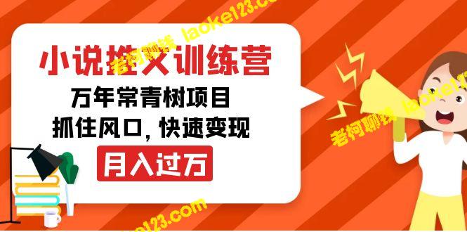 小说推训营，万年常青树，抓风口快变现-老柯聊钱