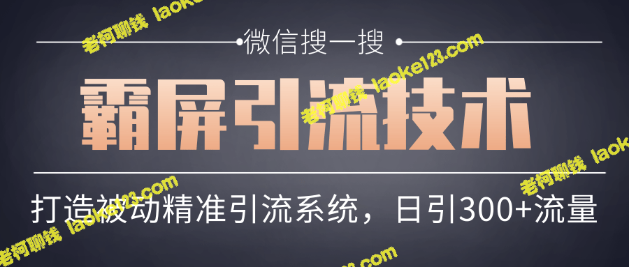 微信霸屏引流：被动精准引流系统，轻松增加300+日流量【第五课】-老柯聊钱