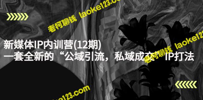 新媒体IP内训营(第12期)：公域引流，私域成交，一套全新IP打法-老柯聊钱