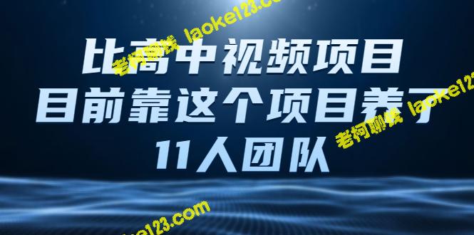 视频项目养活11人团队，精简原创视频课程-老柯聊钱