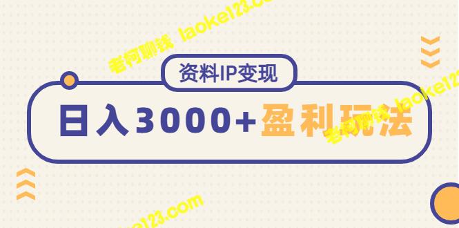 创意赚钱法：IP变现持续性盈利，日赚3000以上-老柯聊钱