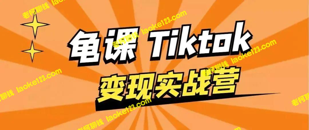 龟课TikTok变现实战训练营1期：轻松赚美元，多种变现模式实战演练（无水印）【完结】-老柯聊钱