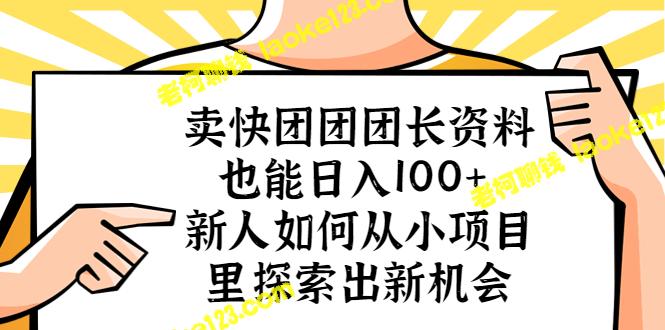 挖掘小项目中的新机会：卖团长资料也能轻松日入100+-老柯聊钱