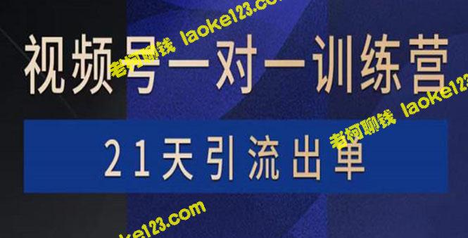 视频号训练营：四大变现新方向，21天引流出单-老柯聊钱