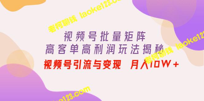 视频号高客单高利润玩法：流量变现月入10W+-老柯聊钱