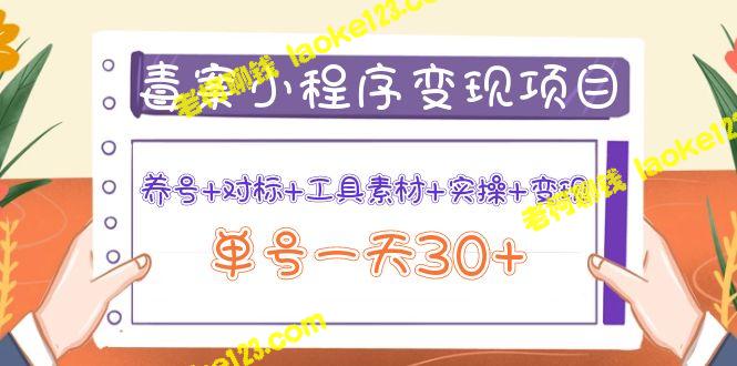 原创小程序养号项目：对标工具素材+实操，单号一天可达30+变现-老柯聊钱