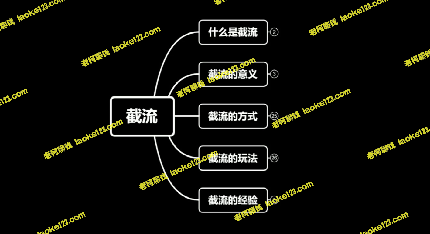 长效实战：蚊子团队截流与百度引流系统2.0-老柯聊钱