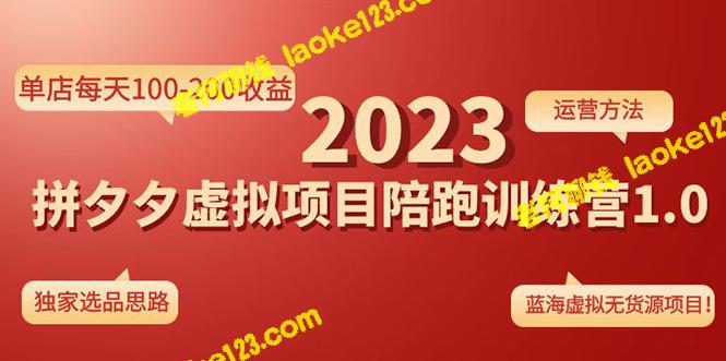 拼夕夕训练营1.0：独家选品思路和运营，单店每天100-200收益-老柯聊钱