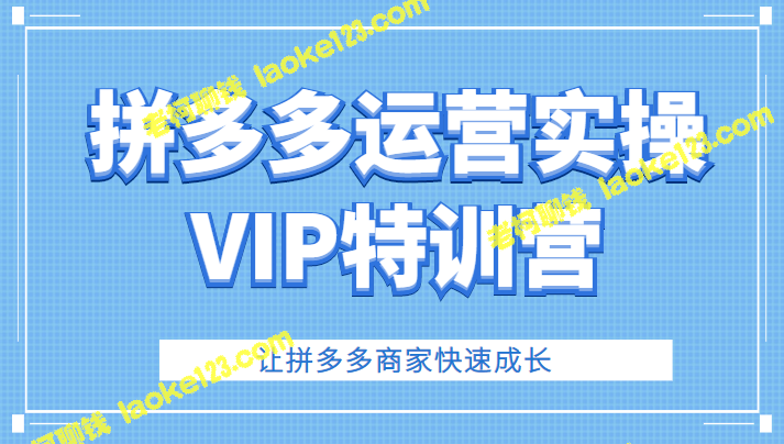 拼多多VIP特训营，助力商家快速成长（仅需3180元）-老柯聊钱