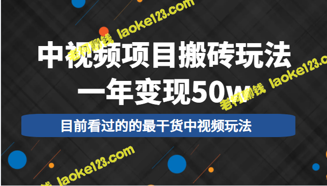 一年赚50w，干货中的视频项目搬砖玩法