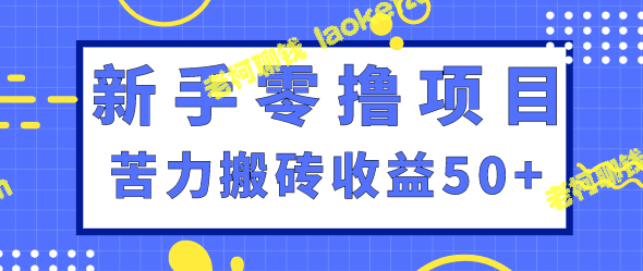 赚钱新手，一天50+！单价最高20元任务，附视频教程-老柯聊钱