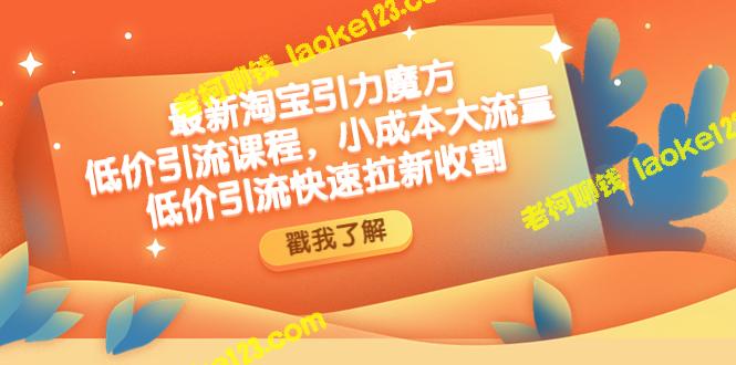 淘宝引力魔方低成本引流实操：小投入大收益，快速拉新收割-老柯聊钱