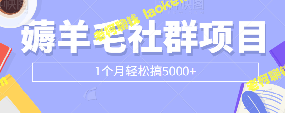 创意标题：5元门槛的薅羊毛社群，30天轻松赚5000+【视频教程】-老柯聊钱